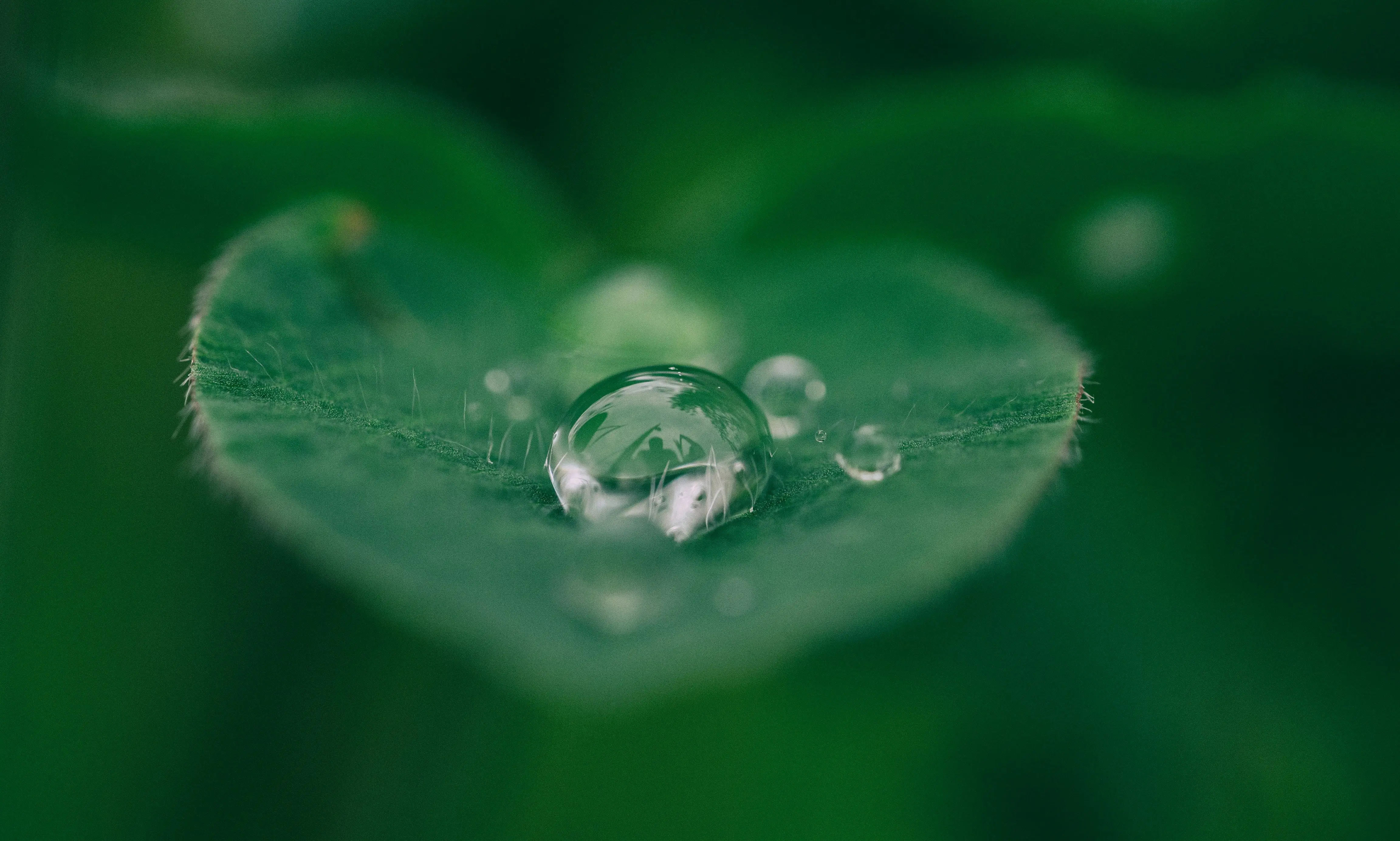 Cumplimiento ambiental